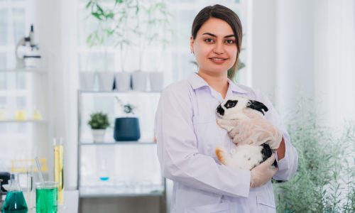 Mobile Vet Services Calgary Mobile Vet Services Calgary
