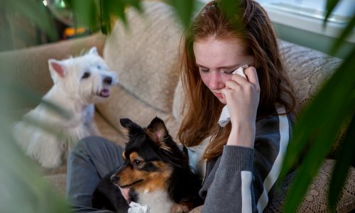 Pet Euthanasia Pet Euthanasia